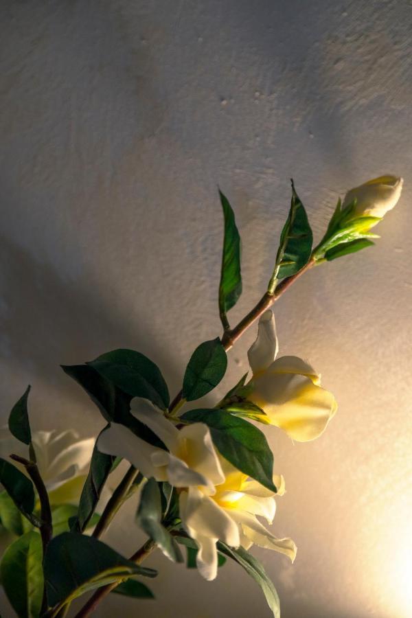 Ca' Anna In Biennale Apartment Venice Exterior photo